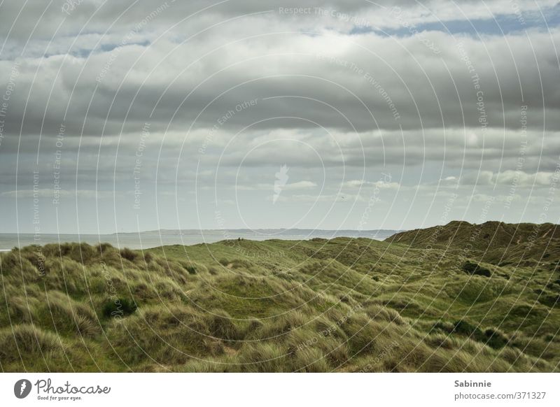 balmedie Environment Nature Landscape Elements Sky Clouds Plant Grass Bushes Moss Wild plant Hill Coast Bay North Sea Aberdeen Scotland Deserted Green