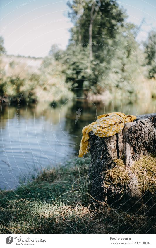 Clothes on the riverside clothes River Environment Tree Deserted Exterior shot Nature Vacation & Travel Landscape water Sky Water Tourism Colour photo Day