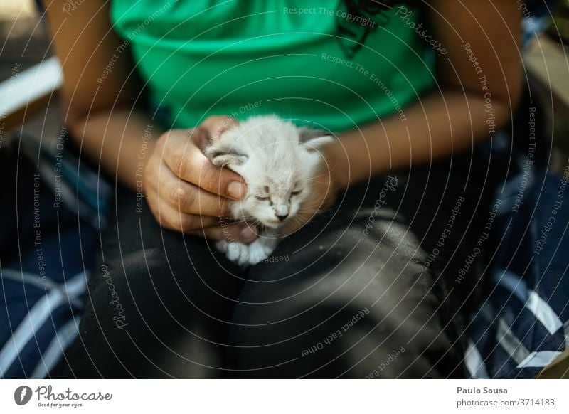 Girl holding little cat Cat Domestic cat domestic animal Pet Colour photo Pelt Whisker Cat eyes Paw Looking Exterior shot Animal portrait Mammal care