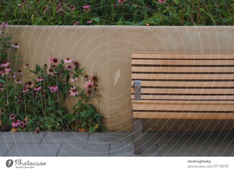 Park bench with flowers in beige and pink Bench Garden Town urban purpurea echinacea Rudbeckia Arnlehne Places off pedestrian shades Empty wood monochrome