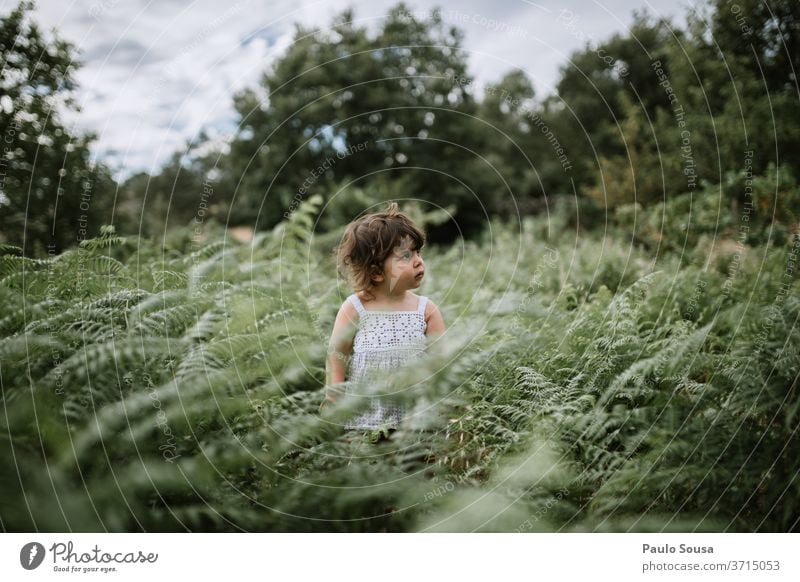 Cute child girl standing in a field of fern Fern Fern leaf Foliage plant Colour photo Leaf Botany Environment Growth Nature Plant Green Deserted Exterior shot