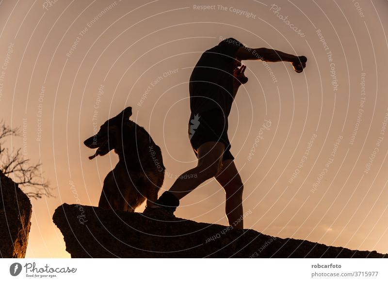 man training with his dog people grass male sky pet happy fun sunset outdoor nature meadow men summer animal silhouette dusk friendship sport healthy workout