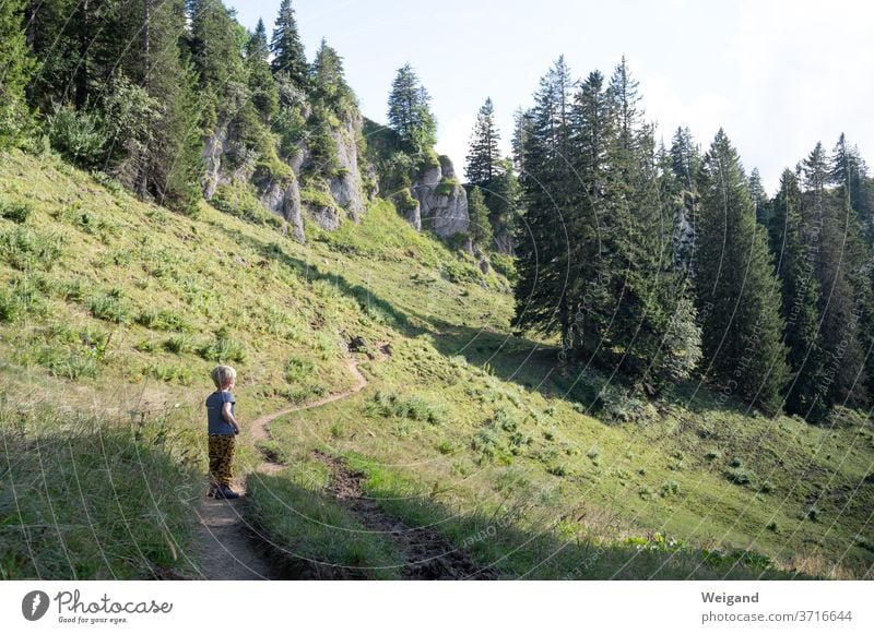 Child hiking Hiking Boy (child) Mountain allgau Alps Nature Landscape Colour photo Exterior shot Vacation & Travel Mountaineering Rock Summer Climbing Adventure