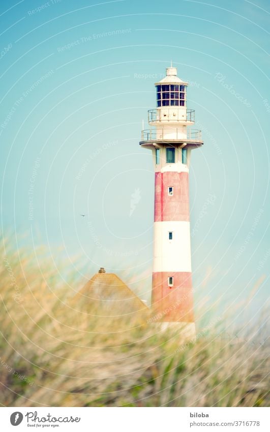 Lighthouse in the bright sunlight Grass Reddish white house roof Summer North Sea Middelkerke Belgium Sky Building Architecture east