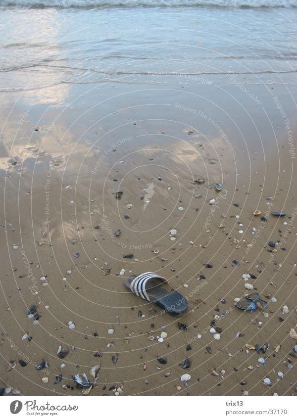 the lost shoe Footwear Mussel Beach Vacation & Travel Ocean Wet Reflection Black Sea Europe bathing shoe Water Sand Coast bulgarine