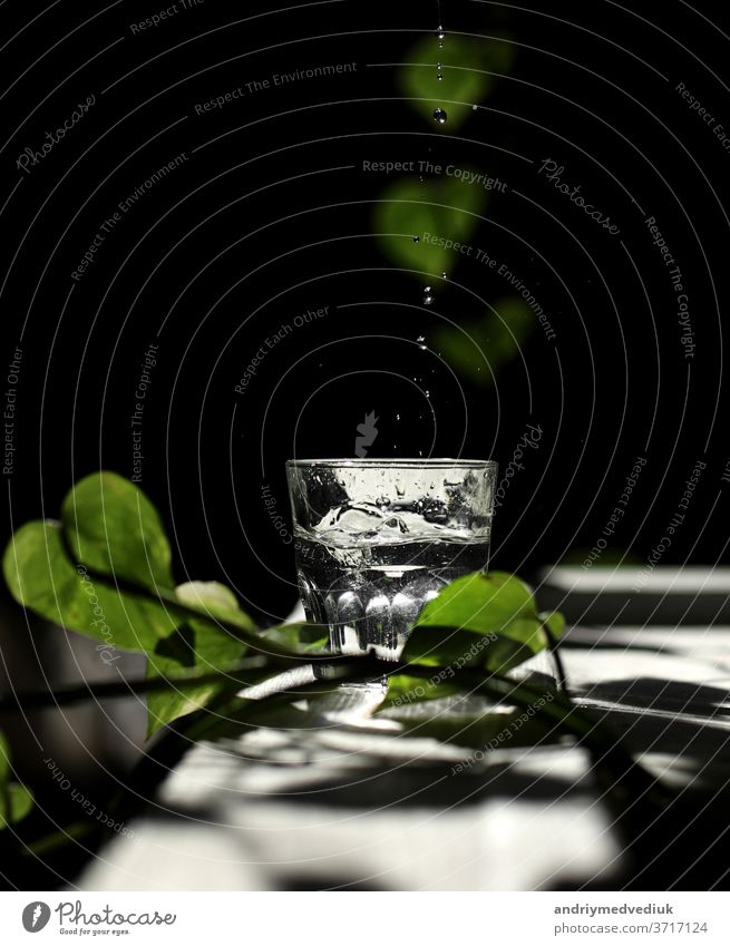 a glass of water on a white table with rays of the sun and with green leavs summer morning mineral clear filter background nature fresh drink jug clean