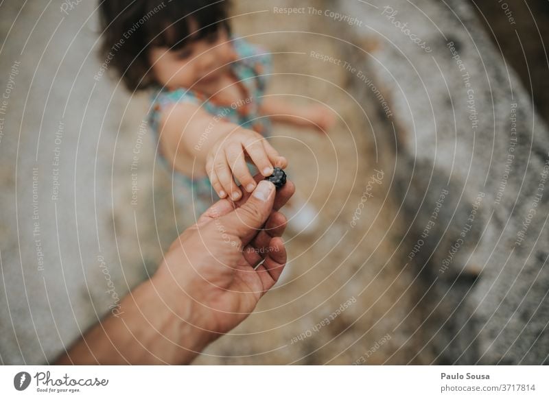 Father give blackberry to child Blackberry blackberrie Berries Innocent Child fatherhood Close-up Summer Exterior shot Fruit Delicious Colour photo Nature Give