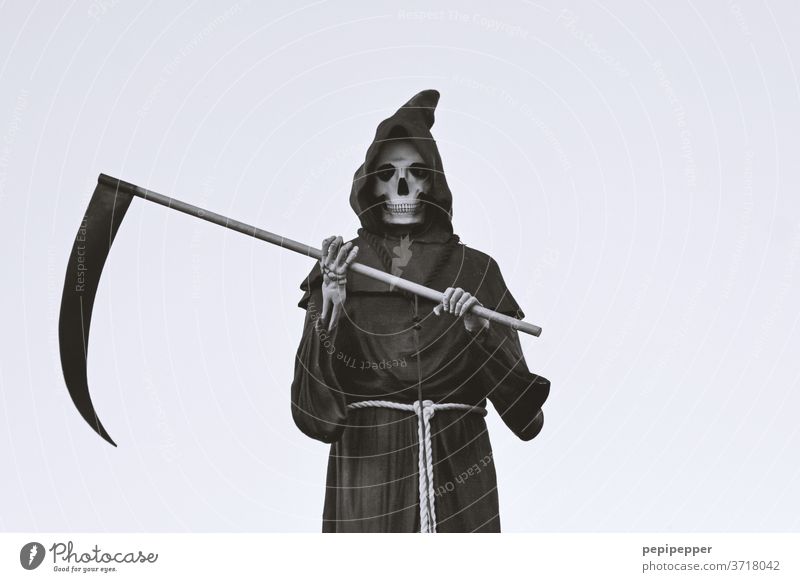 SENSENMANN The Grim Reaper Death Creepy Hallowe'en Colour photo Skeleton Death's head Fear Human being Head Fear of death Threat Old Bone by hand Scythe Frock