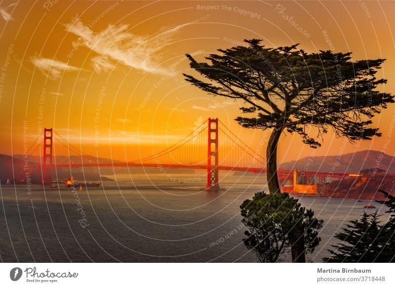 The famous Golden Gate Bridge in San Francisco , seen from Lands End gate bridge pacific california golden san francisco cavallo lands end structure suspension