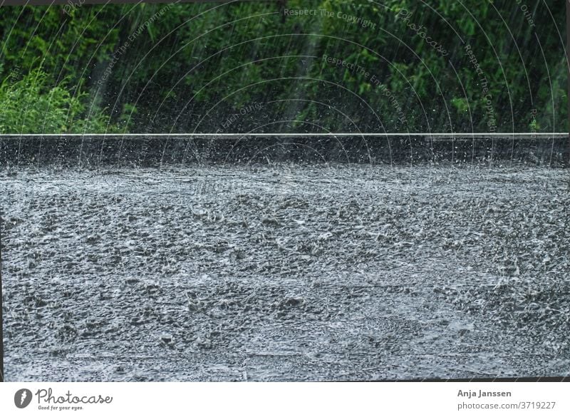 Heavy rain on a black flat roof heavy rain water rain shower puddle tree trees green hedge outside outdoors