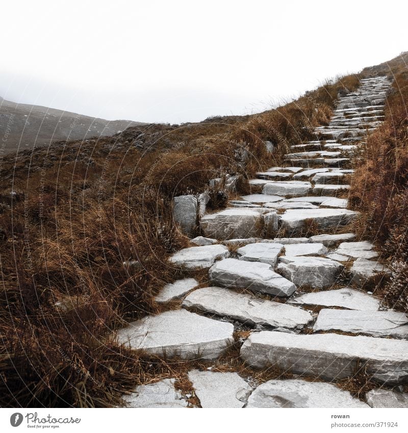 Up Landscape Clouds Autumn Bad weather Fog Bushes Hill Rock Mountain Cold Staircase (Hallway) Stone Stony Lanes & trails Target Upward Complex Hiking