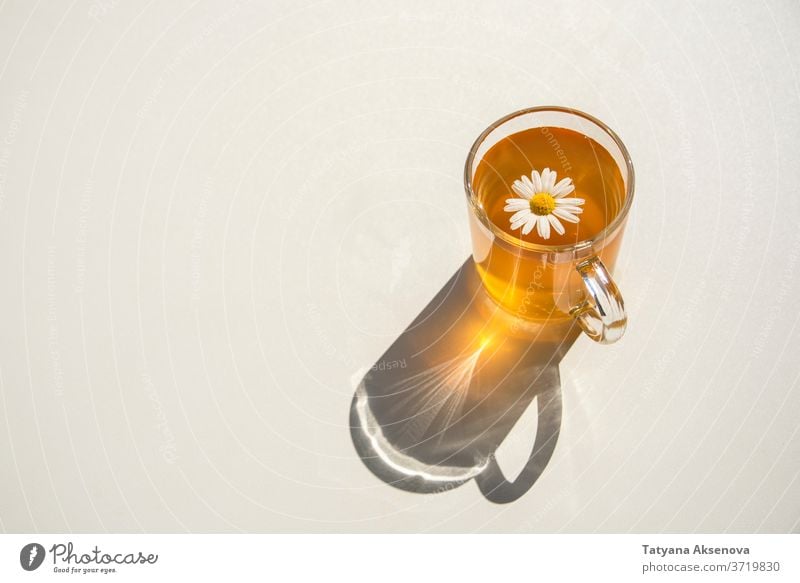 Cup of herbal chamomile tea on white table cup hot healthy drink autumn natural beverage flower yellow teacup camomile medicine refreshment plant daisy closeup