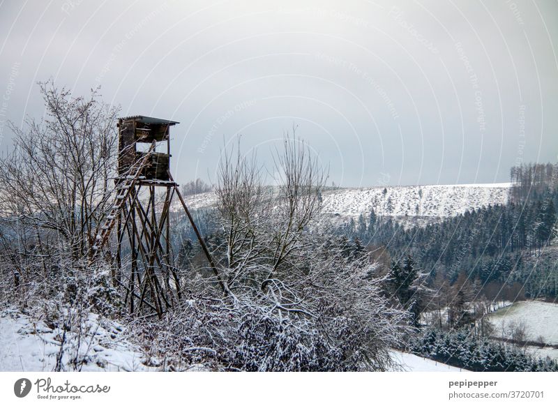 Jägerhochsitz Hunter Hunting Hunting Blind Nature Exterior shot Landscape Colour photo Field wood Vantage point Clouds tree Sky Forest Ladder Horizon