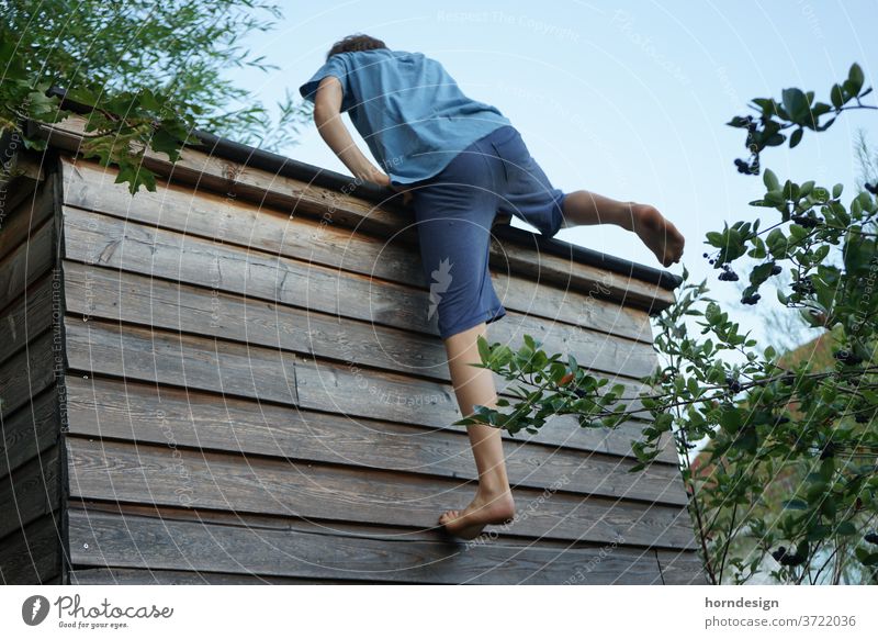 Boy climbs up a house wall Boy (child) teenager Summer warm out Athletic Sports high up climb up free time Bouldering Climbing exercise