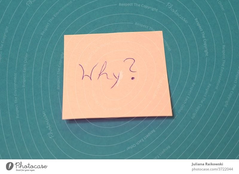 Note with the word "Why" memo Piece of paper Paper Write why? Ask Education explanatory memorandum Question mark Colour photo Study Characters writing Pink pink