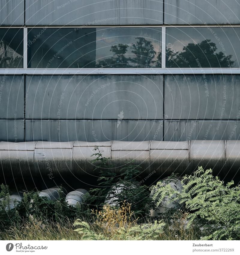 Windows, pipes and facade of a power plant in the bushes conduit Facade power station shrubby Industry Factory Industrial plant built technique