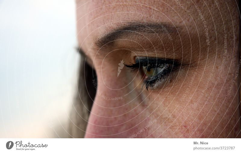 eye Eyes Skin Looking Eyebrow Eyelash Face Pupil Detail Woman Vision Eye colour Senses already Nose bridge of the nose Feminine Observe Exceptional Authentic