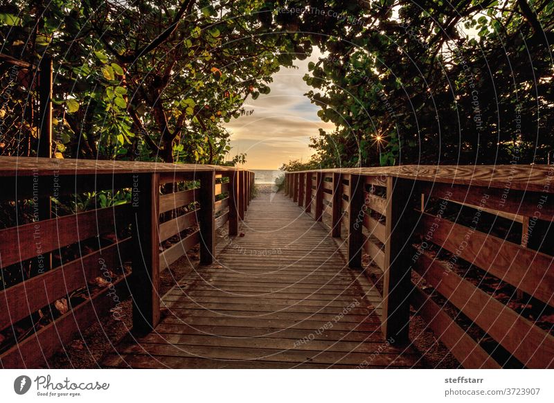 Boardwalk leading toward Delnor Wiggins State Park at sunset Delnor wiggins boardwalk dusk end of the day journey path landscape nature Florida wood boardwalk