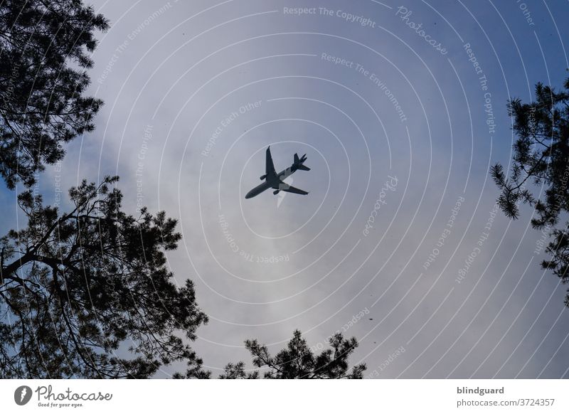 Down (To Earth) Airplane Aviation Clouds Grand piano Engines Far-off places Flying Vacation & Travel Blue Passenger plane Tourism Colour photo Deserted