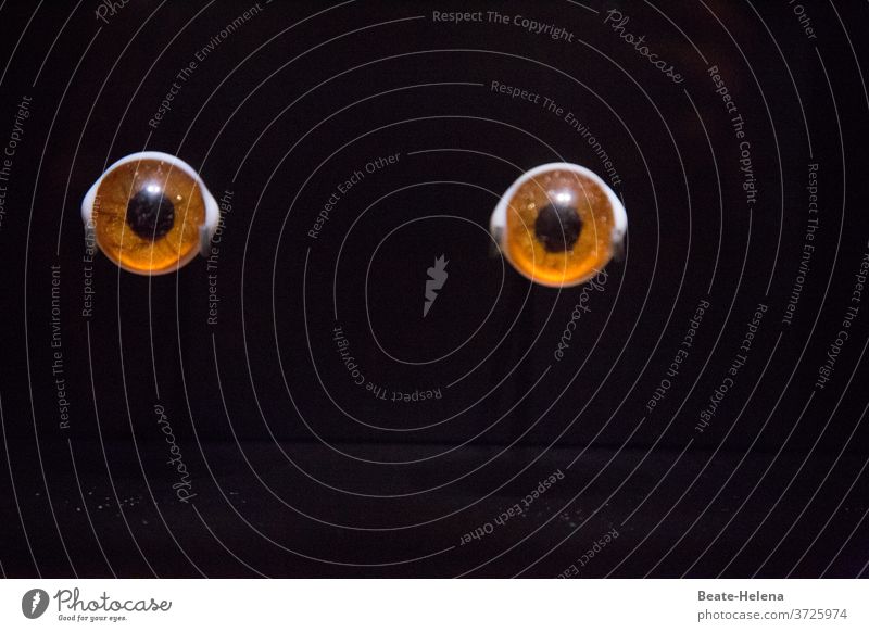 The moment: two brown eyes against a black background peer Eyes Brown iris Pupil Looking Black Mysterious Close-up Detail Vision Mock-up Attraction Colour photo