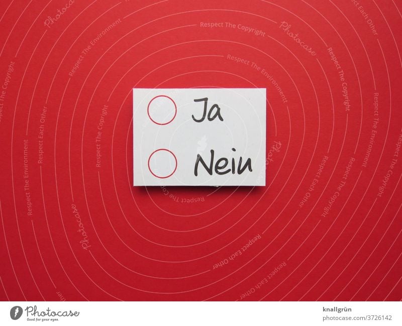 O Yes O No Decide choice Democratic Elections Democracy Laws and Regulations Definite no possibility Indecisive Vote Expectation Letters (alphabet) Word leap