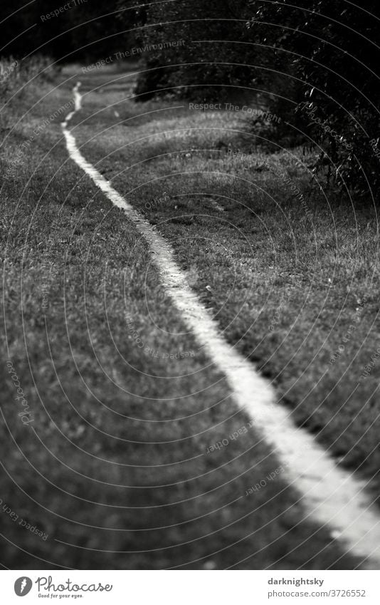 Narrow long path through a meadow Going off Hiking stroll To go for a walk Nature Exterior shot Lanes & trails Loneliness tree Environment Relaxation Landscape