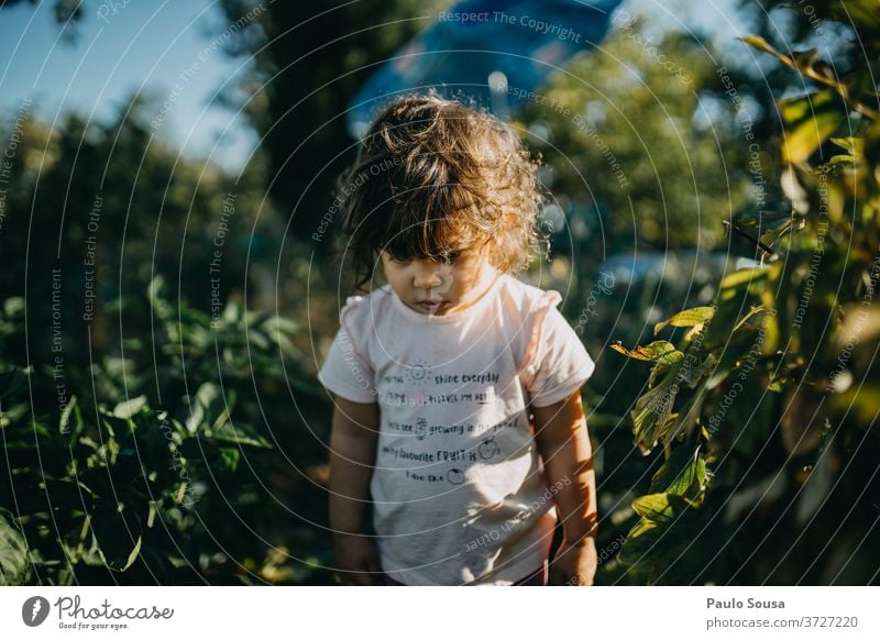 Child in the garden Childhood memory childhood Toddler Garden Gardening Summer Summer vacation Summer's day Girl Multicoloured Human being Joy Exterior shot Day