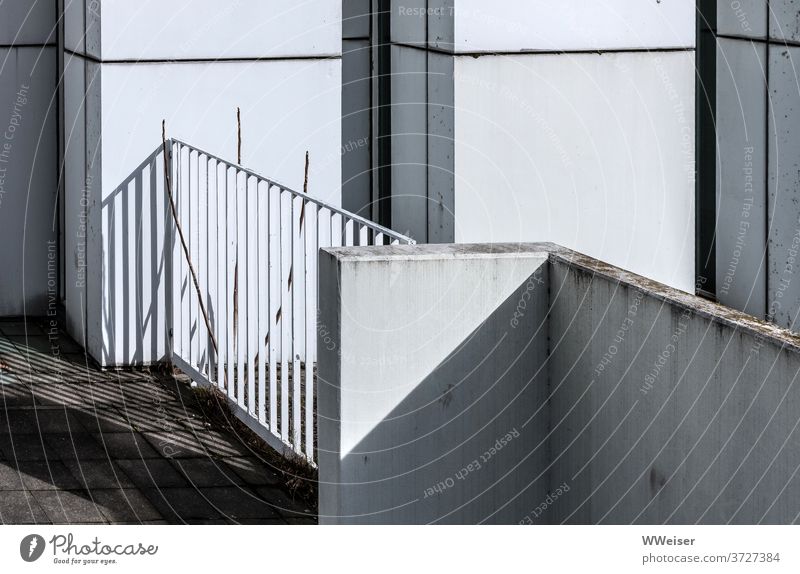 A bare shrub seems to dissolve half in the play of light and shadow twigs Shadow Light Facade Fence Bauhaus Berlin Wall (building) Wall (barrier) Corners