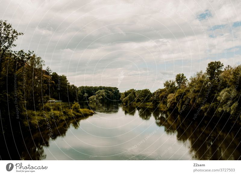 Danube Water Body of water River Summer Sun Bushes Green trees reflection Sky Blue Clouds Nature Landscape Bavaria Exterior shot