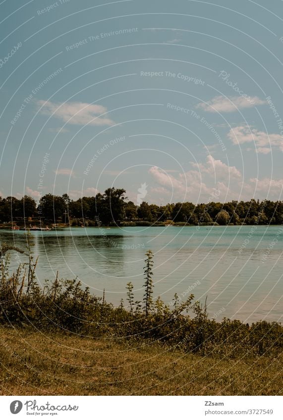 Lake in Bavaria Body of water Swimming lake swimming ponds bank Lakeside Meadow Sky Clouds Bushes bathe Relaxation relaxation vacation Nature Exterior shot