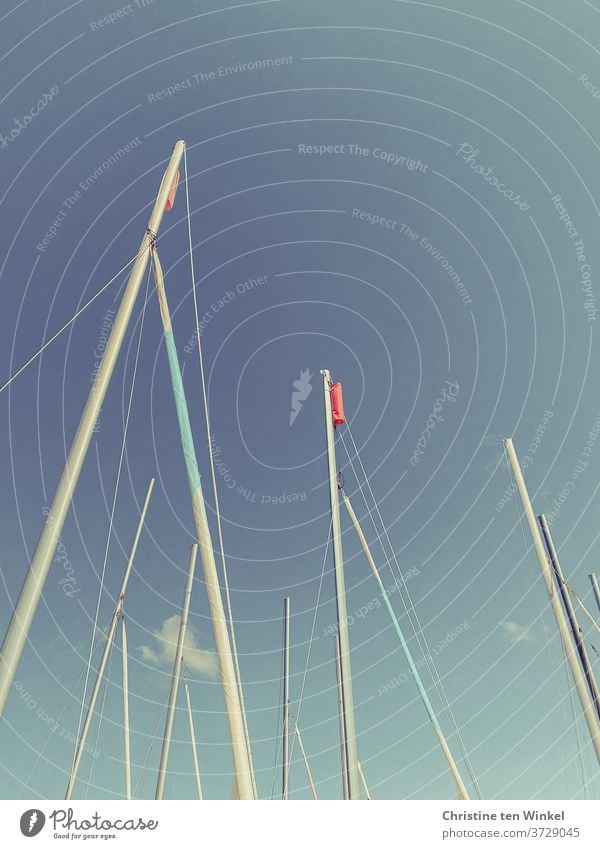 Boat masts from the frog's eye view in front of a blue summer sky ship's mast Sailing masts North Sea Fohr Summer Vacation & Travel Sky Sky blue Summer sky