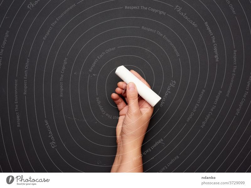 hand holds a piece of white chalk on the background of an empty black chalk board, presentation concept chalkboard childhood closeup adult blackboard blue