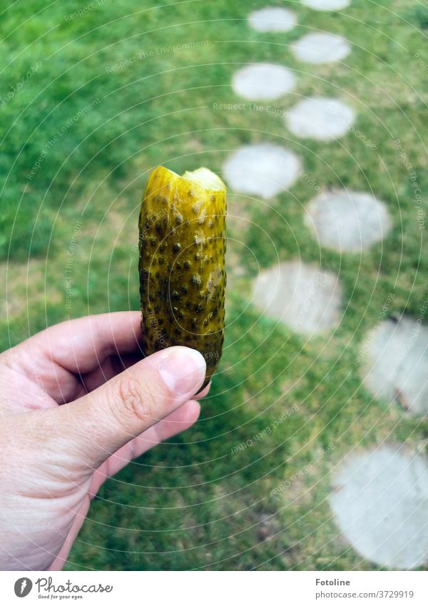 Hmmmmm! A real spreewald gherkin Spreewald spreewood gherkin pickled gherkin Garlic cucumber taste Eating traditionally traditional meal Exterior shot Food