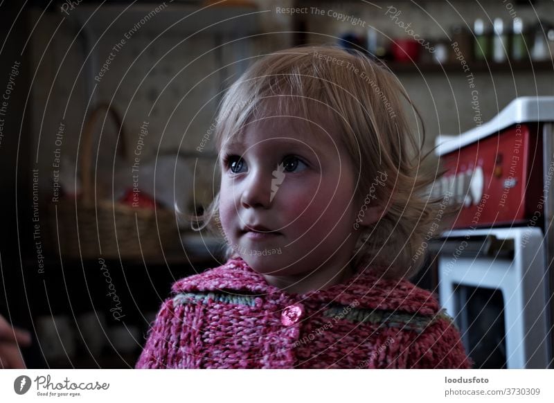 Portrait of a young pretty girl Eyes portrait Face Close-up Hair Blonde luck Looking youthful Child