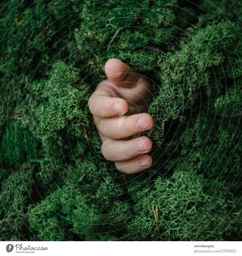 The hand from the moss Iceland Moss landscape portrait green creative portraits Children`s hand feel fumble Nature natural explorer Researchers Infancy Fingers