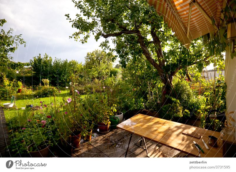 Garden after the rain Branch tree flowers blossom bleed Relaxation holidays Grass Sky allotment Garden allotments Deserted Nature Plant Lawn tranquillity