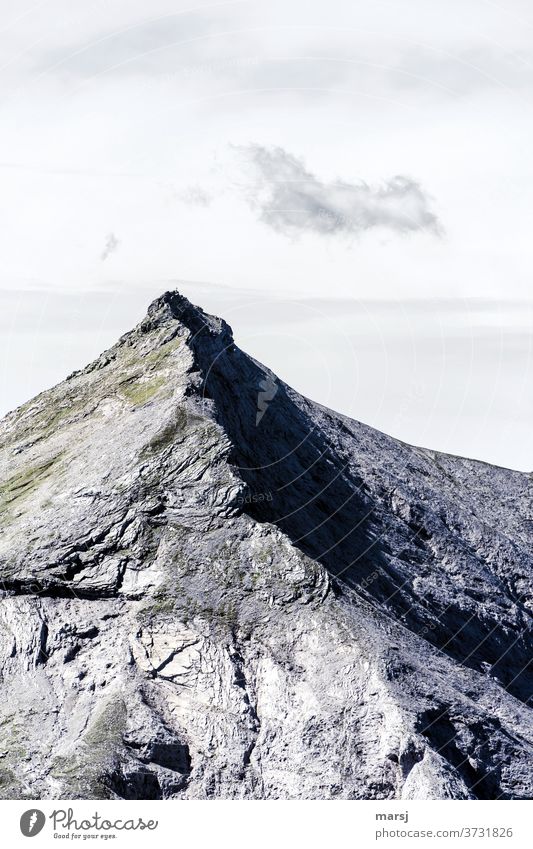 Styrian limestone peak with small cloud Mountain summits Chalk alps Limestone Steep Point Vacation & Travel Alps Rock Clouds Nature Copy Space top Peak Hiking