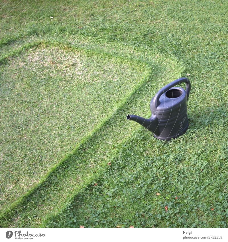 Remains - impression of a paddling pool on the meadow, next to it is a blue watering can Meadow Lawn Garden squeeze Watering can Grass Clover Summer