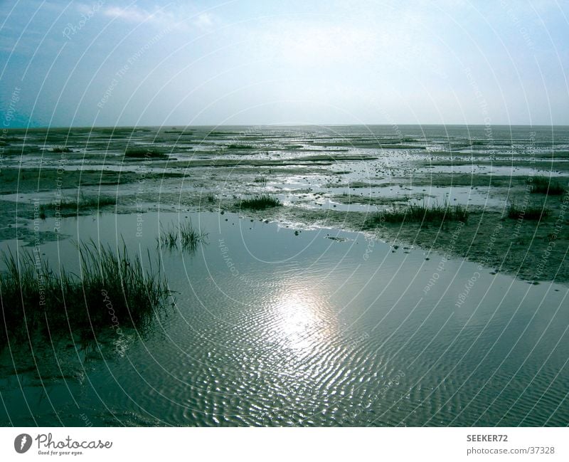 watt Beach Loneliness Calm North Sea Mud flats Sun