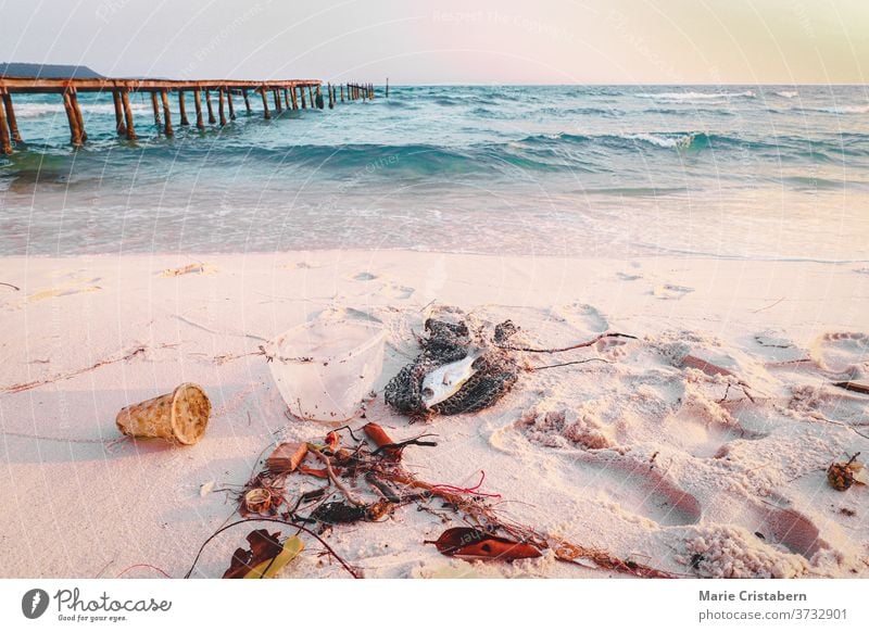 Garbage and dead fish in the beach of Koh Rong Island which is a popular summer destination and that shows the extent of ocean pollution, environmental damage and plastic problem