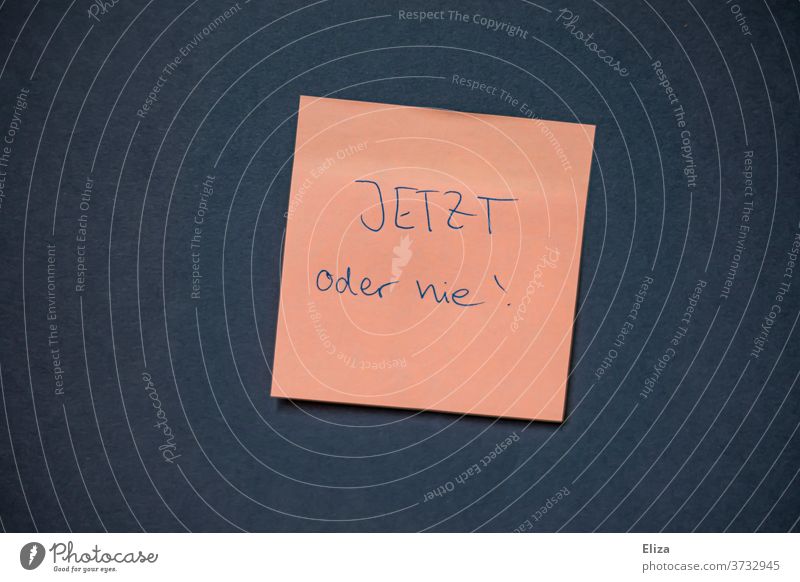 It's now or never! Motive Brave Resolve get married Determination Willpower Optimism Motivational slogan post-it note on liability Success Self-confidence meek