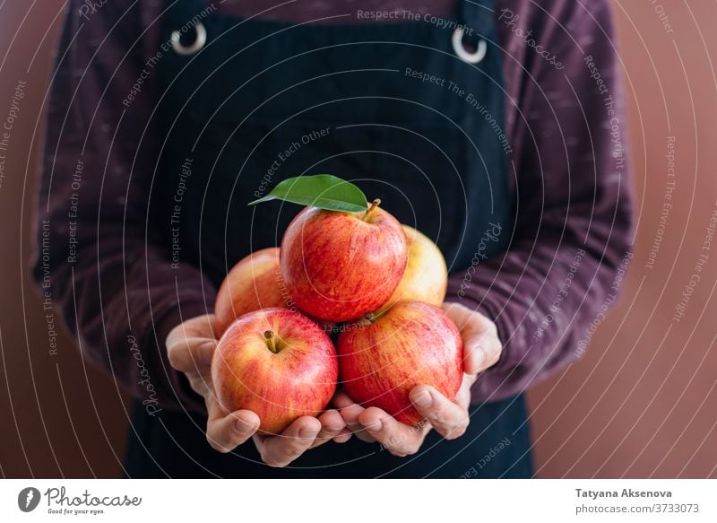 Man gardener in apron holding fresh apples harvest gardening fruit autumn agriculture farmer food ripe picking organic healthy green summer woman fall red