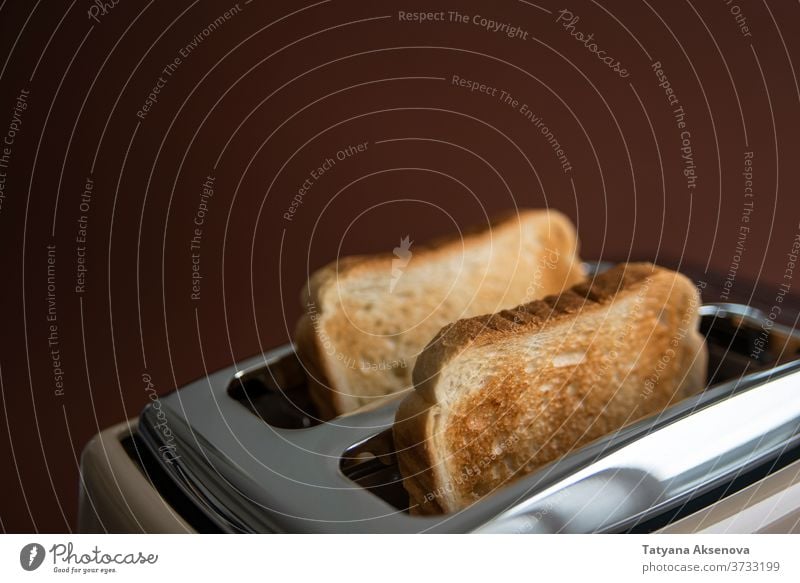 Two roasted pieces of bread on toaster food toasted breakfast morning meal snack brown slice baked modern beige holding