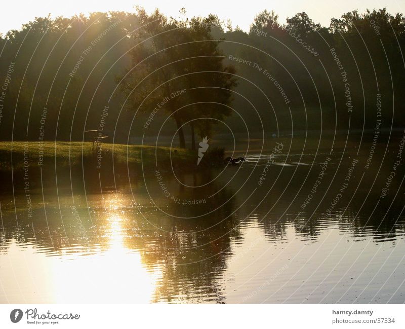 one morning Lake Morning Tree Water Sun