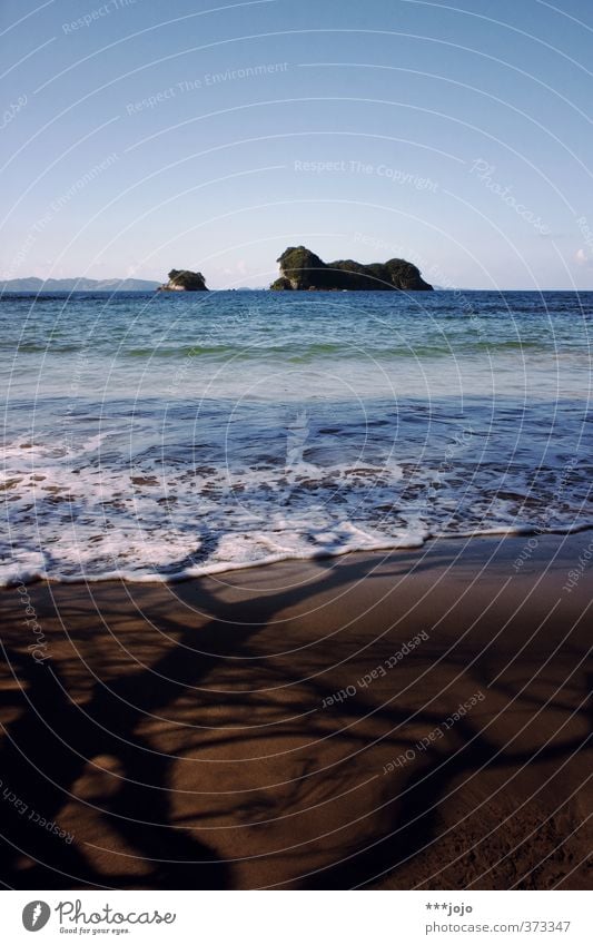 saltwater & shadows. Nature Landscape Sand Sky Summer Tree Waves Coast Beach Ocean Vacation & Travel Island Idyllic beach New Zealand Coromandel peninsula