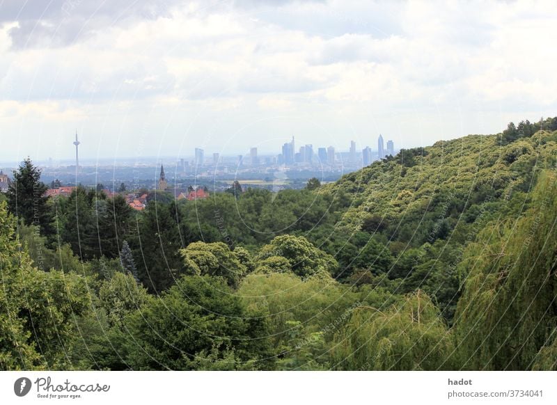 Frankfurt Germany background city financial district Forest Hessen horizon Mainhattan office building Silhouette Skyline skyscraper High-rise Architecture