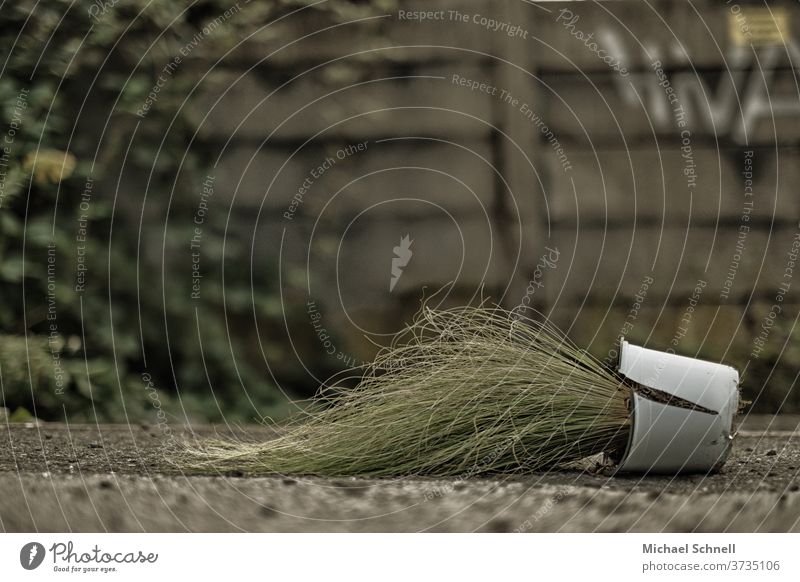 Green plant with broken flower pot on a sidewalk in front of a fence shattered Flowerpot Broken Destruction Deserted Exterior shot End over over and done