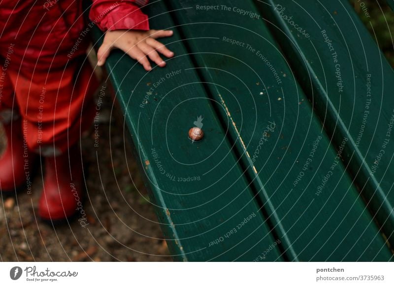 A toddler in rainwear stands in front of a wet green park bench on which a snail is lying. Love of animals Toddler Park bench Wet Crumpet Rainy weather Marvel