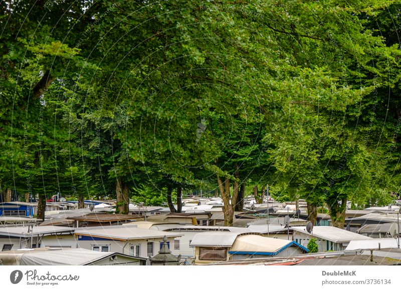 Permanent camping site under huge trees green Exterior shot Colour photo Day Nature Deserted Camping Camping site permanent campers Adventure Summer vacation