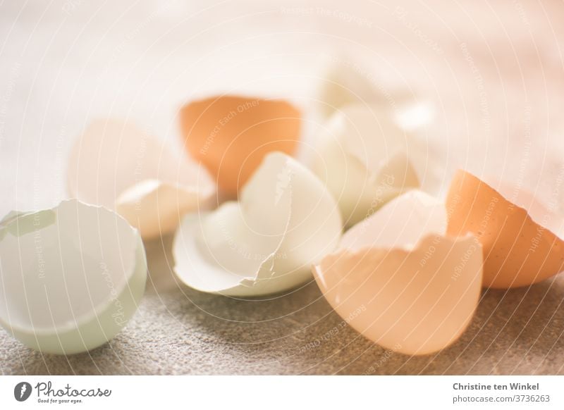 Naturally coloured egg shells on a light background against the light eggshells Hen's egg Close-up Brown Beige pale green Green Egg Eggshell Organic produce